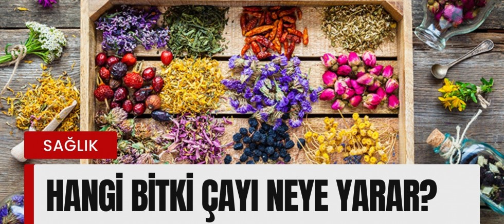 Hangi Bitki Çayı Neye Yarar?