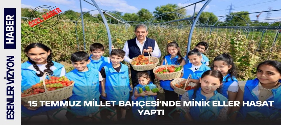 15 Temmuz Millet Bahçesi’nde Minik Eller Hasat Yaptı