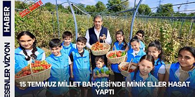 15 Temmuz Millet Bahçesi’nde Minik Eller Hasat Yaptı