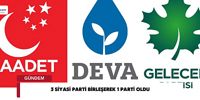3 Siyasi Parti Birleşerek 1 Parti Oldu 